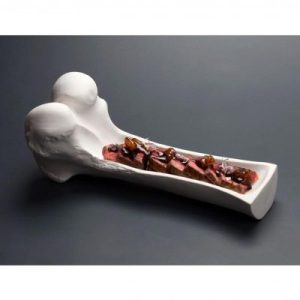 100% Chef Kemik Porselen Sunum Tabağı, 25x10x10 cm