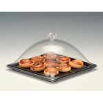 Zicco ZCP-754 Akrilik Kapaklı Melamin Altlı Muhafaza Kabı, 25x25x15 cm