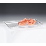 Zicco ZCP-467 Polikarbon Tepsil Akrilik Karpuz Teşhir Tepsisi, 55x35.5 cm, Şeffaf
