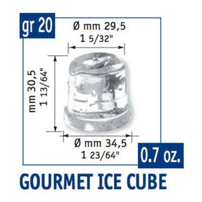 Scotsman Bar Line B 2006 Hazneli Gurme Buz Makinesi, 20 kg/gün Kapasiteli - Görsel 4