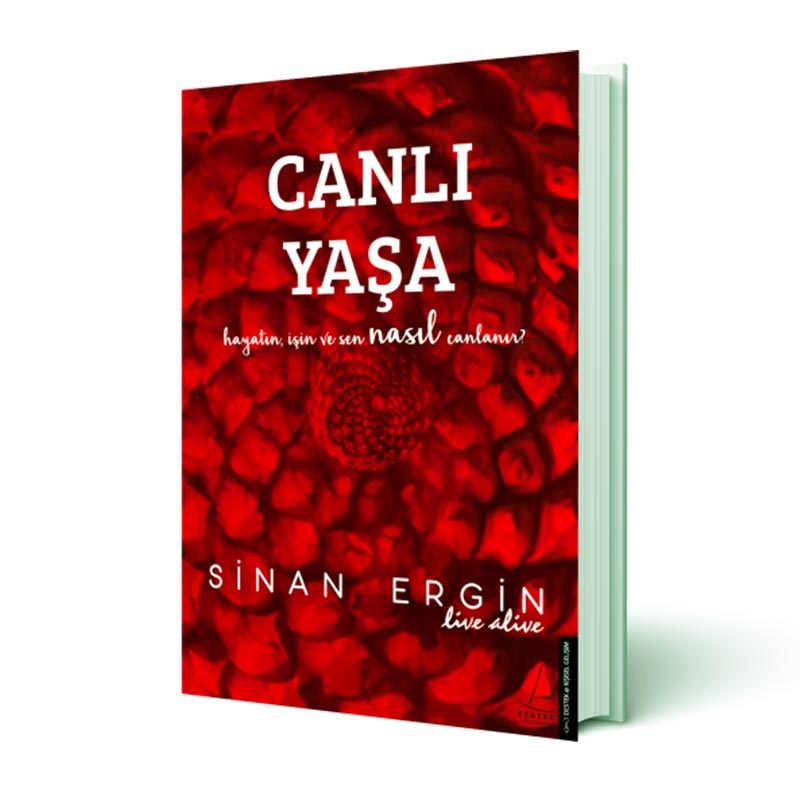 Sinan Ergin Canlı Yaşa