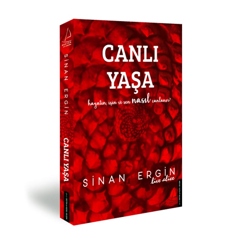 Sinan Ergin Canlı Yaşa - Görsel 3