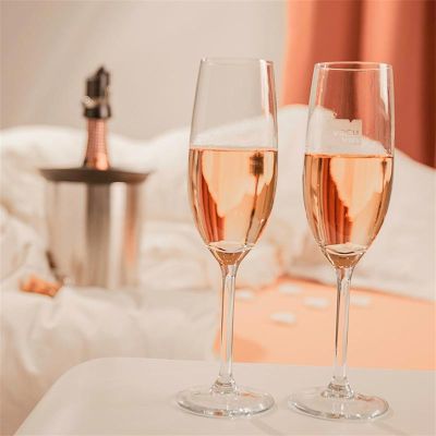 Vacu Vin 3647360 Aktif Şampanya Soğutucu, Elegant - Görsel 5