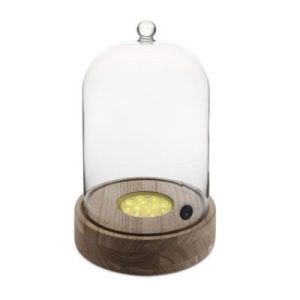 100% Chef Kokteyl Fanusu İçin RGB LED Aydınlatmalı Taban