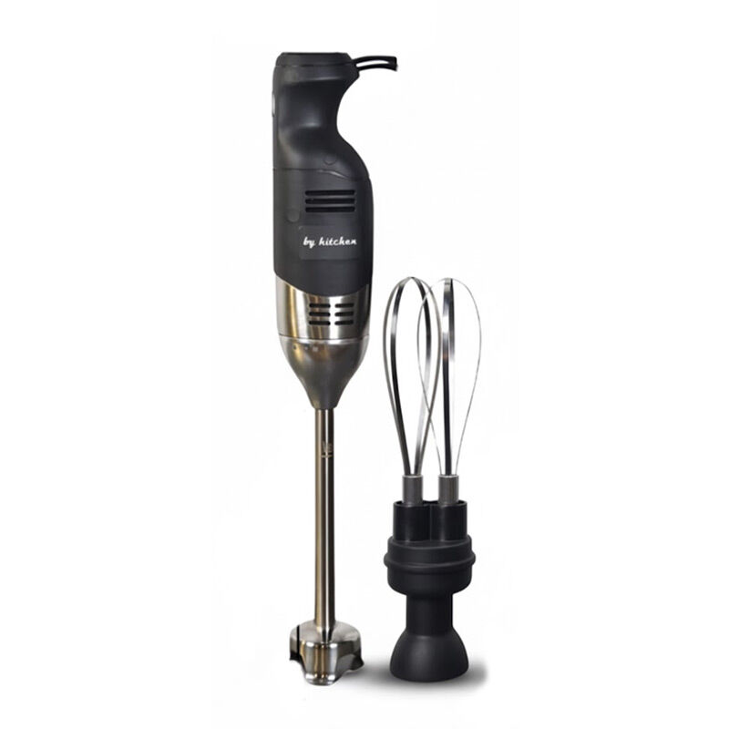 By Kitchen IB250EV+BLD190-E+WIK-185E El Blender, 250 W - Görsel 2