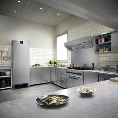 Liebherr FFFCvg 6501 Dik Tip Tek Kapılı Derin Dondurucu, 544 L - Görsel 5