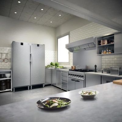 Liebherr FRFCvg 6501 Dik Tip Buzdolabı, Tek Kapılı, 655 L - Görsel 5