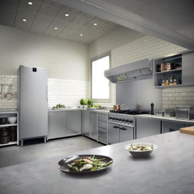Liebherr FRFCvg 6501 Dik Tip Buzdolabı, Tek Kapılı, 655 L - Görsel 6