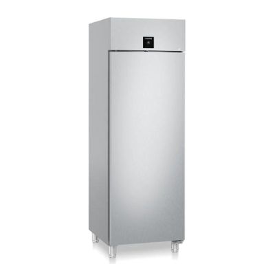 Liebherr FRPSvg 6501 Dik Tip Buzdolabı, Tek Kapılı, 597 L - Görsel 3
