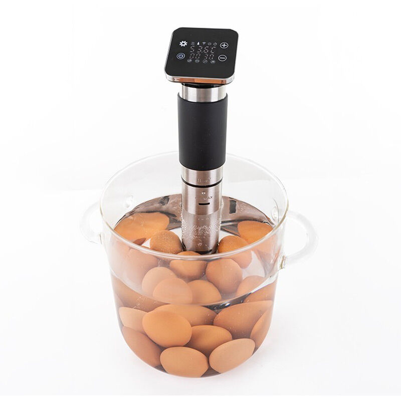 100% Chef Noonie Sous Vide Pişirme Sirkülatörü, 1300 W - Görsel 2